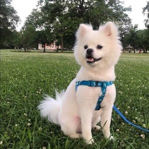 Meet your Posher, Anna